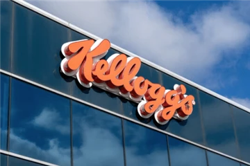 Kellogg, Plastik Atığı Ortadan Kaldırmak İçin Kalıplanmış Kağıt Hamuru Ambala...